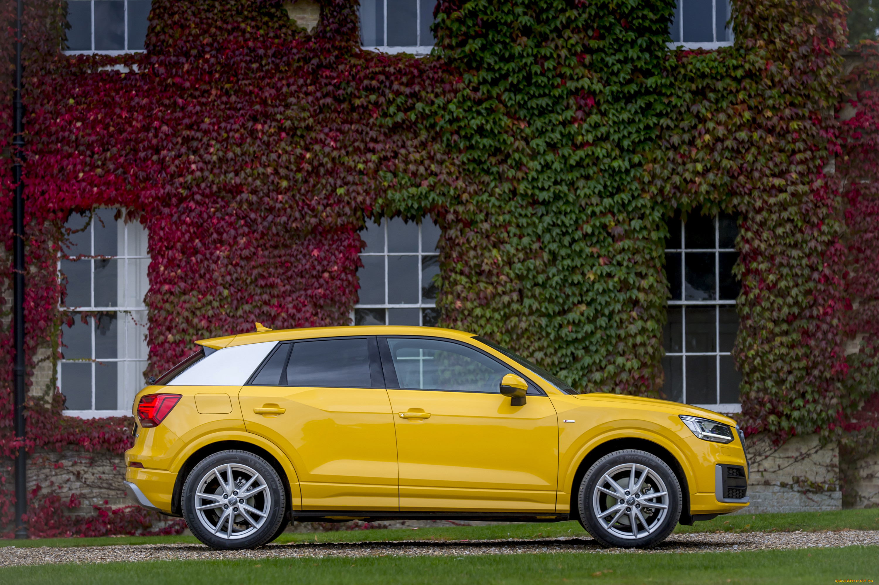 , audi